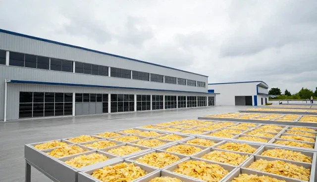 食品代加工设备选型与维护建议